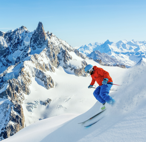 VALLEE DE CHAMONIX MONT BLANC : Flégère, Brévent, Grands Montets, Balme, Les Houches