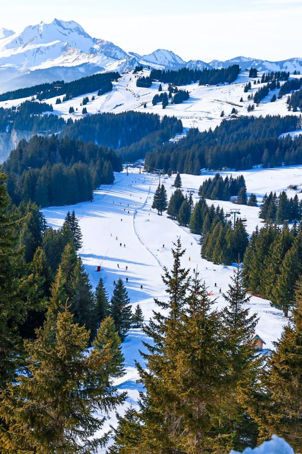 CHABLAIS GRAND MASSIF : Morzine - Avoriaz - Flaine - les Carroz